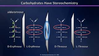 A Brief Introduction to Carbohydrates Aldoses Ketoses and their Stereochemistry Explained [upl. by Nedaj]