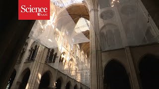 A look inside the restoration of Notre Dame cathedral [upl. by Milburt326]