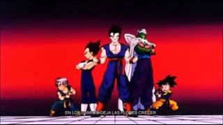 Dragon ball z cancion [upl. by Cliffes]