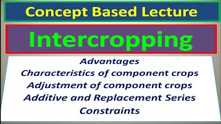 Intercropping Advantages Characteristics amp Adjustment of Component Crops and Constraints [upl. by Kin]