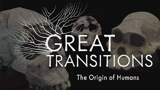 Great Transitions The Origin of Humans — HHMI BioInteractive Video [upl. by Eelsew]