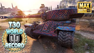 New T30 damage WORLD RECORD  World of Tanks [upl. by Kaehpos]