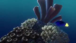 Finding Nemo 3D quotShark Testimoniesquot Clip [upl. by Knowling]