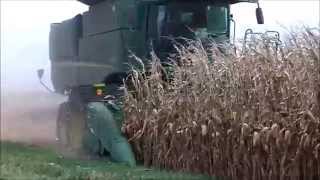 John Deere S660 Harvesting 250 Bushels per Acre Corn [upl. by Inacana581]