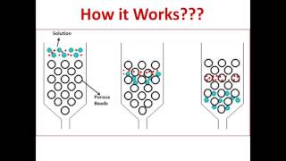 Gel Filtration Chromatography [upl. by Aerdnuahs]