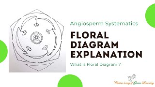 Floral Diagram explanation I What is floral diagram [upl. by Eniagrom]