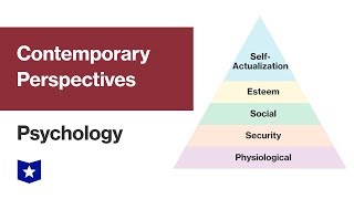 Contemporary Perspectives  Psychology [upl. by Aihsena]