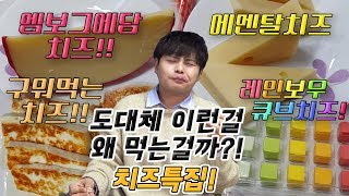 도대체 이런걸 무슨맛에 먹는걸까 치즈특집 제이제이 에멘탈치즈 엠보그에담치즈 구워먹는치즈 레인보우큐브치즈 리뷰 [upl. by Babbie]