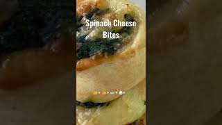 Shortcrust Pastry with Spinach and Cheese [upl. by Rabaj539]