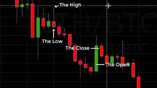 Reading A Crypto Candlestick Chart Basics [upl. by Zahavi]