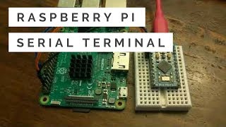 Raspberry Pi How to Connect Using Serial [upl. by Yzeerb16]