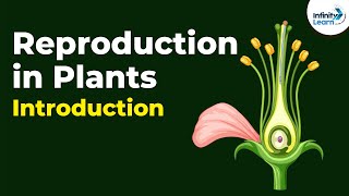 Introduction to Reproduction in Plants  Dont Memorise [upl. by Bedad624]