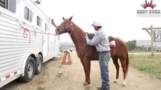 Saddle Pad Fitting  1quot Wool Saddle Pad amp Navajo Blanket [upl. by Caylor]