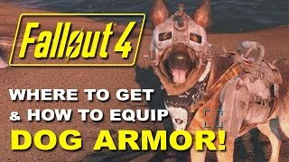 FALLOUT 4 Dogmeats Dog Armor  Where to Find it amp How to Equip It Rare Armor Location Guide [upl. by Oeniri119]