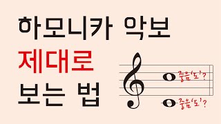 상식1 하모니카 악보 보는법악보마다 높낮이가 다른 이유 그 어디에서도 설명해주지 않는 내용 인투더 최초공개 ❗❗ [upl. by Emmaline]