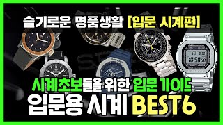 시계 입문러들을 위한 가이드 입문용 시계 BEST6 [upl. by Stirling]