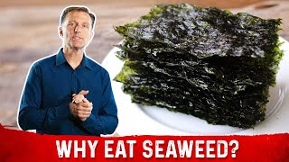 What is Seaweed – DrBerg Explains Roasted Seaweed Benefits [upl. by Duval214]