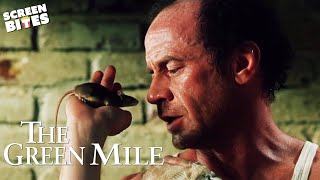 The Best of The Mouse On The Mile Mr Jingles  The Green Mile 1999  Screen Bites [upl. by Tonneson324]