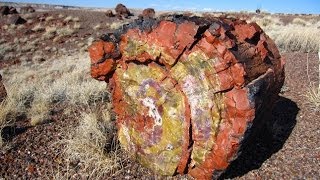 Petrified Forest National Park [upl. by Vanthe]