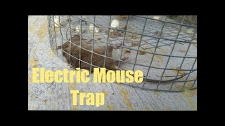 Homemade Electric Rat and Mouse Killer [upl. by Ylen]