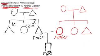 Introduction to Patrilineal Descent w Kinship Diagram  Cultural Anthropology [upl. by Russi]