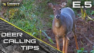 Deer Calling Tips  E5 quotUnderstanding Basic Doe Communicationquot [upl. by Claudio]