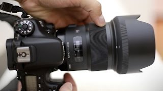 Sigma 50mm f14 DG Art lens review with samples Fullframe and APSC [upl. by Gnem908]