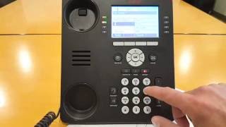 Basic Call Handling with your Avaya IP Office Phone [upl. by Jemena]