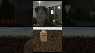 Potato trolling on Omegle [upl. by Aicilev]