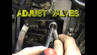 Lawn Mower Repair Valve Adjustment VTwin Briggs [upl. by Lauryn]