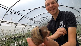 Escargots 🐌 Eating French Food at a Snail Farm [upl. by Hayman]