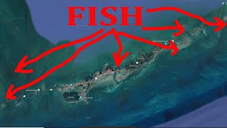 Marathon FLOrida Fishing Step One Prospecting Fishing Spots [upl. by Anelam]