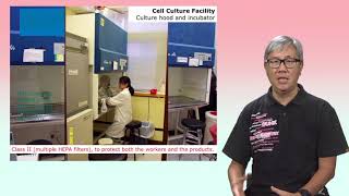 Cytotoxicity Assays 1 In vitro study and cell culture [upl. by Anirav]