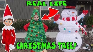 Real Life Christmas Tree For 24 Hours Elf On The Shelf Challenge [upl. by Enibas]