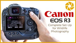 Canon R3 Settings For Wildlife Photography [upl. by Whitaker]