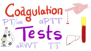 Coagulation Tests  PT aPTT TT Fibrinogen Mixing Studies [upl. by Felike295]