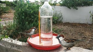 Automatic Watering system for birds  Water for birds [upl. by Emma73]