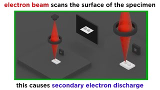 Electron Microscopy TEM and SEM [upl. by Randolph543]