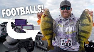 Spring Perch Fishing Tips [upl. by Alcock]