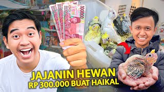 JAJANIN HEWAN APAPUN RP 300000 BUAT HAIKAL [upl. by Lhary672]