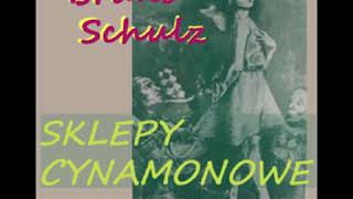 Sklepy cynamonowe  Bruno Schulz Audiobook PL [upl. by Eiznik]