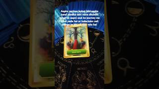 Aapke partner ki energy reading tarot hindi love shorts [upl. by Enitsenrae372]