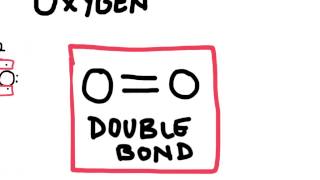 Double and Triple Covalent Bonds [upl. by Pellet581]