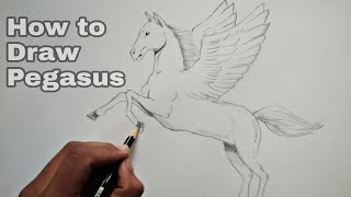 how to draw pegasus [upl. by Dorlisa]