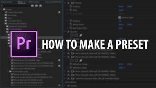 Premiere Pro How To Make A Preset [upl. by Farrand764]