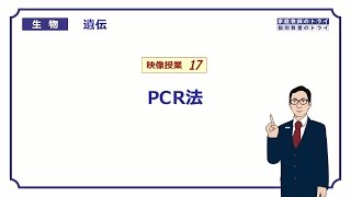 【高校生物】 遺伝17 PCR法（２０分） [upl. by Saffier]