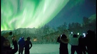 🇳🇴Chasing Lights in Tromsø Norway [upl. by Nesnah624]