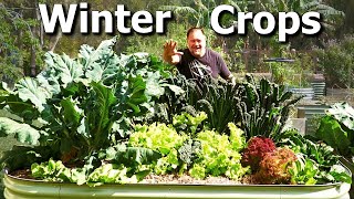 What Vegetable Crops Im Growing and Sowing NOW in WINTER Garden [upl. by Assilanna]