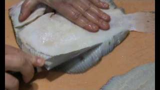 Steinbutt filetieren  How to filet turbot [upl. by Nivlak]