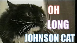 Talking Cat Saying quotOh Long Johnsonquot [upl. by Chiou]